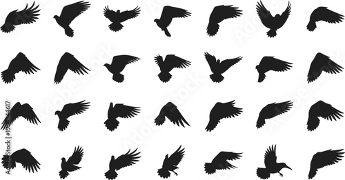 Collection of flying bird silhouettes in various poses and angles