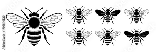 Bees graphic set with black and white illustrations and different wing styles featuring insects, monochrome, honeybees with apian and artwork elements for icons, symbols projects, clean composition