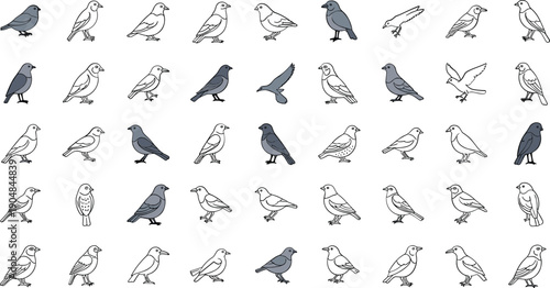 Collection of various bird illustrations in different poses