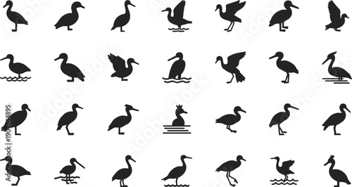 Collection of various bird silhouettes in different poses and movements