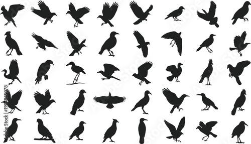 Collection of various black bird silhouettes in different poses and flying
