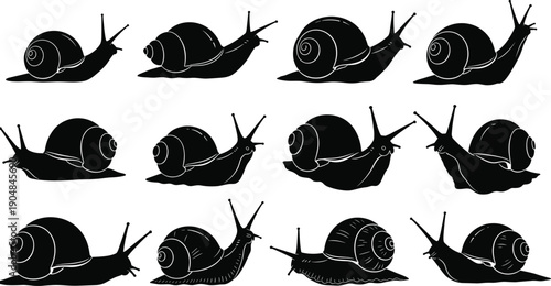 Snail silhouette set with different shell patterns and crawling poses, garden gastropod icons, slow moving mollusks isolated on white background vector illustration