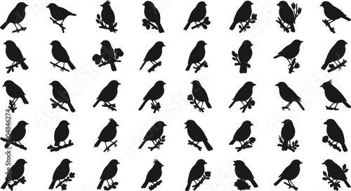 Collection of eagles and birds in various flying positions