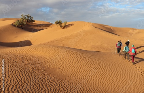 Au Maroc un joli désert