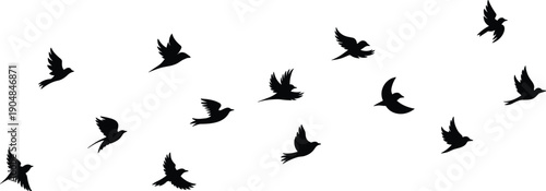 Vector, black, silhouette, illustration, set, of, a, flock, of, birds, flying, in, the, sky, for, nature, wildlife, environment, avian, migration, and, outdoor, animal, design, elements