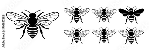 Bees illustration set with black and white stripes and wings featuring insects, nature, vector with icons and design elements for minimalist, simple projects, clean composition on simple background