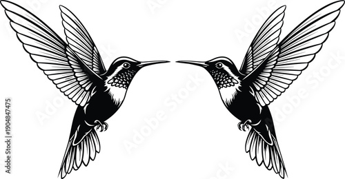 Symmetrical hummingbird silhouette and line illustration featuring two detailed birds in flight, wings spread wide, facing each other for wildlife, nature, and design projects