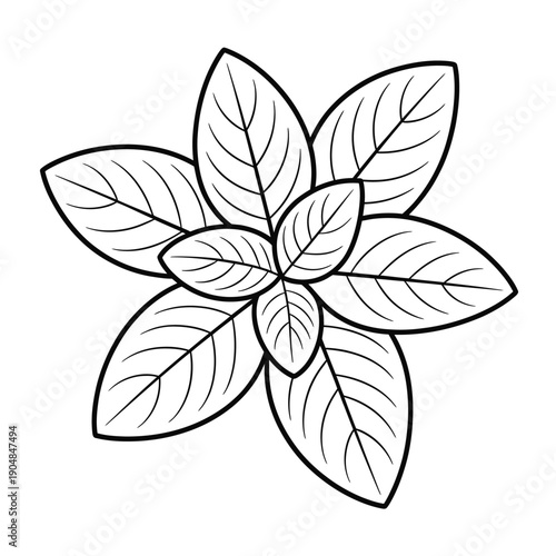 Simple line drawing of a five petal flower with detailed leaf veins