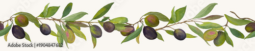 Watercolor Olive Border