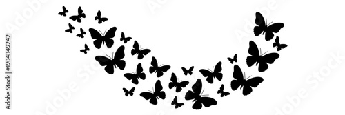 Butterflies silhouette flock forming curved flying trail, black vector insect set isolated on white, elegant nature swirl for spring design, logo, tattoo, decor