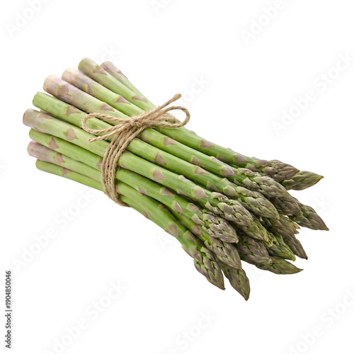 Bunch of Fresh Asparagus Tied with Twine Isolated on Transparent Background