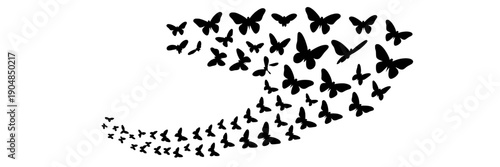 Butterflies flying swarm silhouette in flock formation, black vector shapes isolated on white background, nature insects group in motion, decorative pattern for design