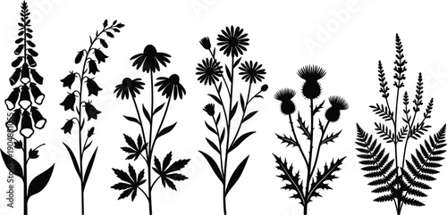Wildflower silhouette set with foxglove, bluebell, echinacea, daisy, thistle, and fern meadow plants isolated on a white background