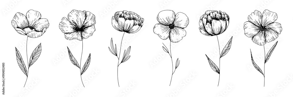 Fototapeta premium Flowers line art set with six hand sketched wild blossoms and leaves, black ink botanical doodles in minimalist style for logo, packaging, wedding, and tattoo
