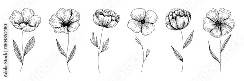 Flowers line art set with six hand sketched wild blossoms and leaves, black ink botanical doodles in minimalist style for logo, packaging, wedding, and tattoo