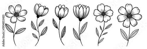 Flowers hand-drawn set with delicate petals and leaves in black and white line art style featuring floral, nature, illustration with botanical and sketch elements for vector, elegant projects, clean