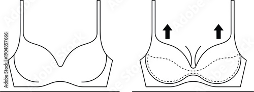 Bra support anatomy illustration showing lift effect and breast shaping comparison outline vector design for lingerie education