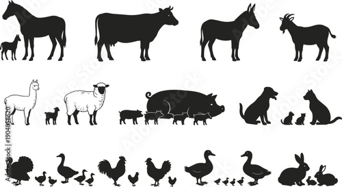 Farm animal silhouette icon set with livestock pets birds and young animals vector collection for agriculture design