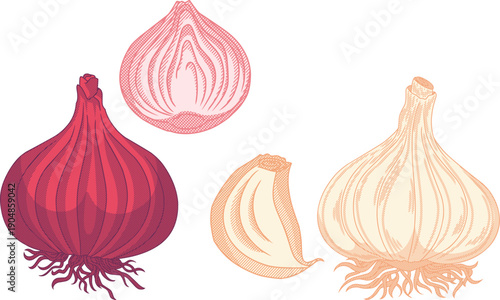 Vintage Etching Illustration of Red Onion and Garlic Set,classic etching style with fine line details. Ideal for premium food packaging, organic market branding, and culinary editorial designs.