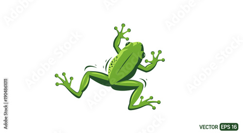 Cartoon green frog jumping