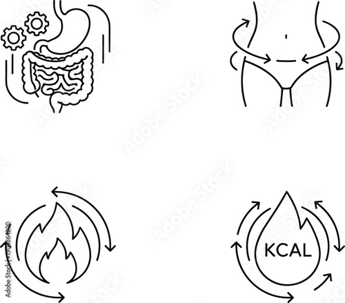 Metabolism and digestion icon set with stomach body fat burning calorie cycle symbols outline vector collection