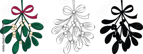 Christmas decoration mistletoe silhouette & Outline and illustration set isolated on transparent background