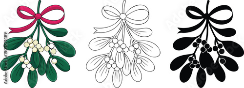 Christmas decoration mistletoe silhouette & Outline and illustration set isolated on transparent background
