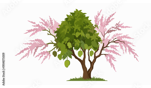 Decorative mango fruit tree with cherry blossom flowering tree ornamental seasonal vector illustration