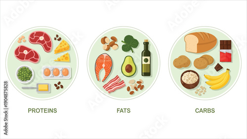 Carbohydrate Protein and Fat Food Set, Nutrition Categories Cartoon Vector Illustration