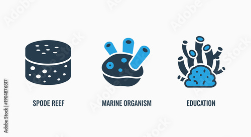 Marine Biology and Coral Reef Education: Spode Reef, Diverse Marine Organisms, and Ocean Conservation Awareness for Environmental Learning.