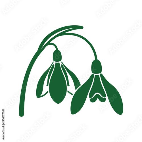Green snowdrop flower vector illustration isolated on white background