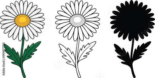 Daisy flower silhouette & Outline and illustration set isolated on transparent background