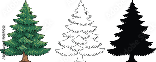 Evergreen coniferous tree silhouette & Outline and illustration set isolated on transparent background