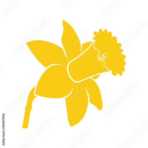 Yellow daffodil flower silhouette vector illustration isolated on white background