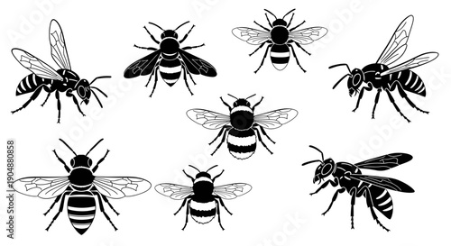 Black and white bee illustrations in various poses