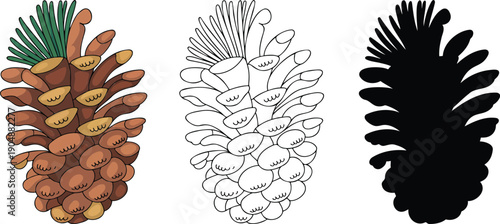 Pine cone silhouette & Outline and illustration set isolated on transparent background