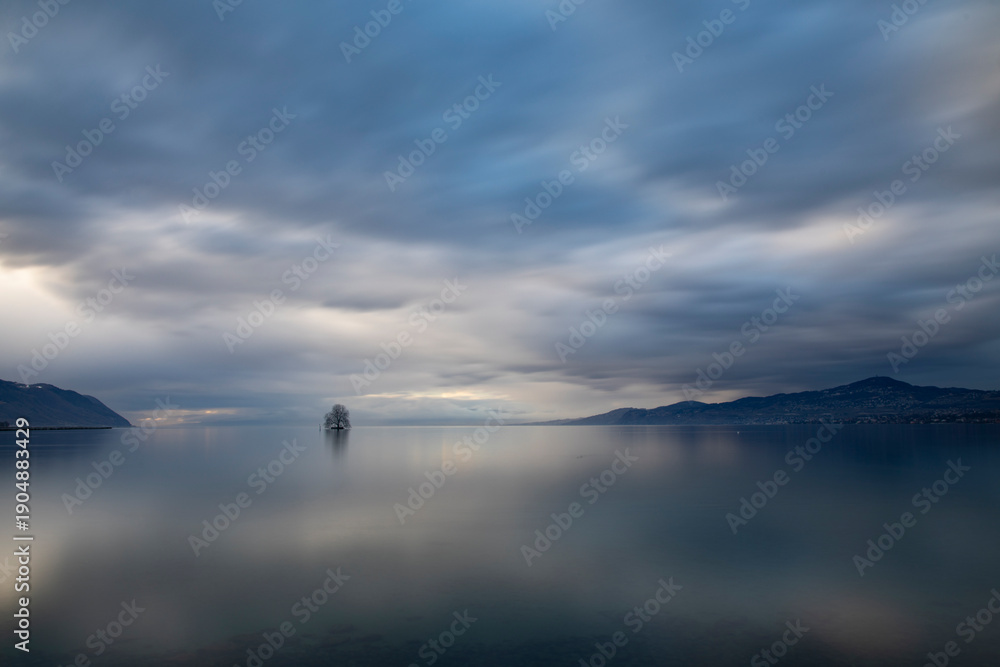 Fototapeta premium Stroll along the shores of Leman lake