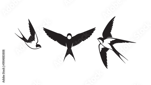 Flying Swallows and Swift Bird Silhouettes in Minimalist Black and White Vector Illustration