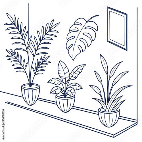 A variety of potted plants arranged on a windowsill with sunlight streaming in