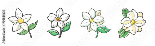 Delicate white jasmine flowers with green leaves, hand-drawn in a charming style.