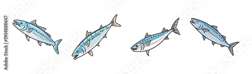 Four king mackerel fish swimming in aquatic environment, seafood illustration