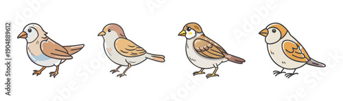 Group of four cute sparrows perched and walking, small bird illustration.