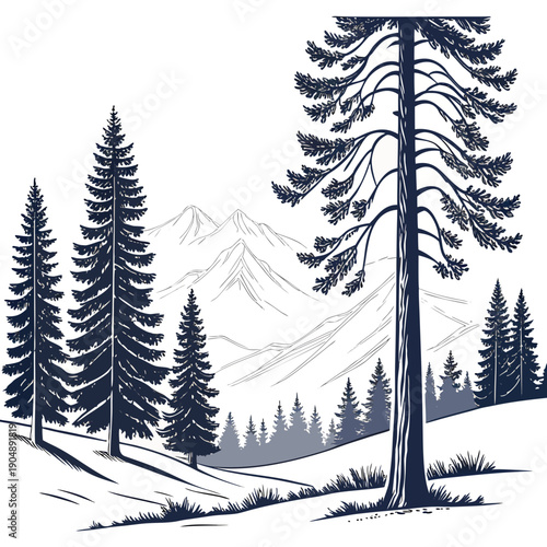 A serene forest landscape with tall pine trees and a clear sky in the background