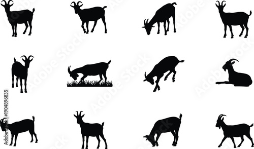 Collection of Goat Silhouette Vector Illustrations Featuring Various Farm Animal Poses Including Grazing Standing and Jumping for Livestock Agriculture Design