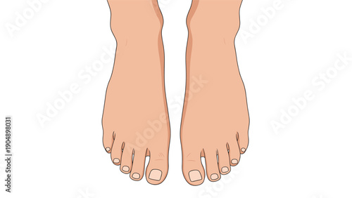 Natural top down view of a pair of bare human feet standing on a white background, highlighting skin texture and toe details.