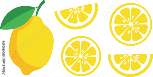 Illustrated lemon with its various sliced forms displayed around it