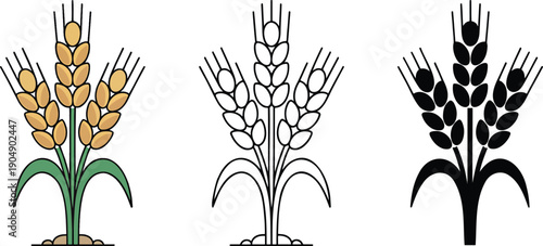 Wheat silhouette & Outline and illustration set isolated on transparent background