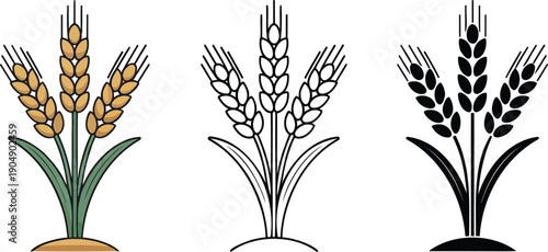 Wheat silhouette & Outline and illustration set isolated on transparent background
