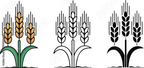 Wheat silhouette & Outline and illustration set isolated on transparent background