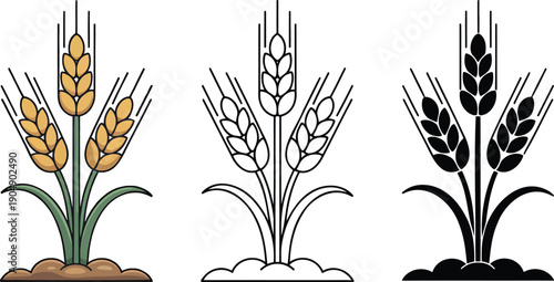 Wheat silhouette & Outline and illustration set isolated on transparent background